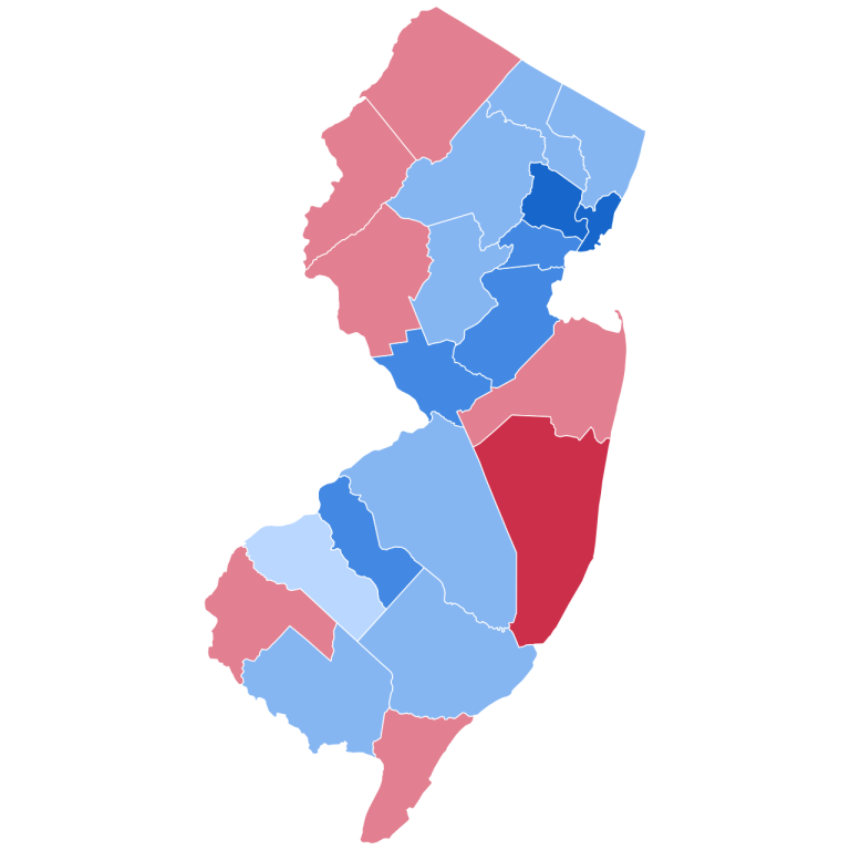 How NJ South Asians voted in the 2024 Election